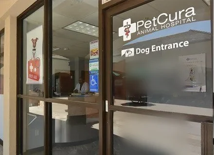 Front entrance of PetCura Animal Hospital in Livermore, CA